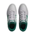 Hoops 3.0