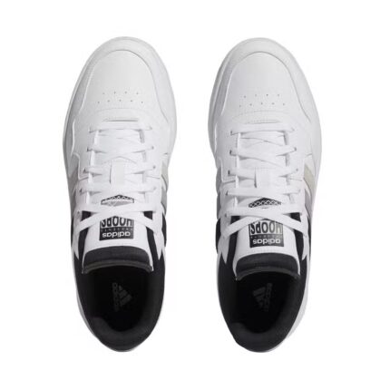 Hoops 3.0