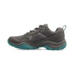Harrier W