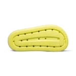Endive