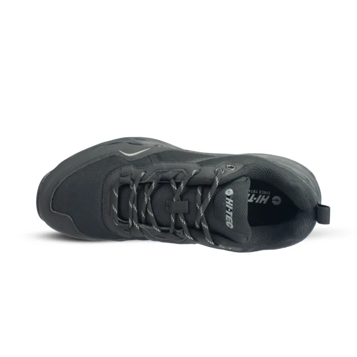 Harrier – Image 3
